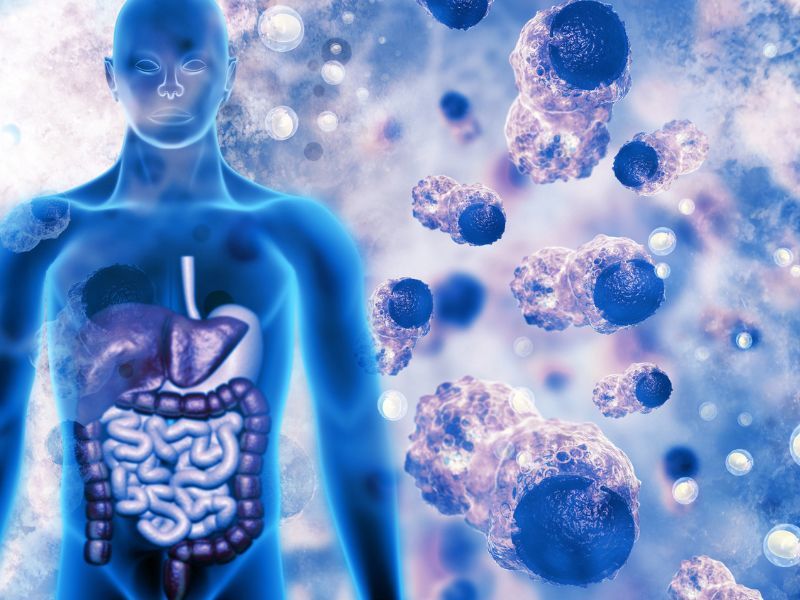 Le cellule T si attiverebbero con un meccanismo di autosegnalazione