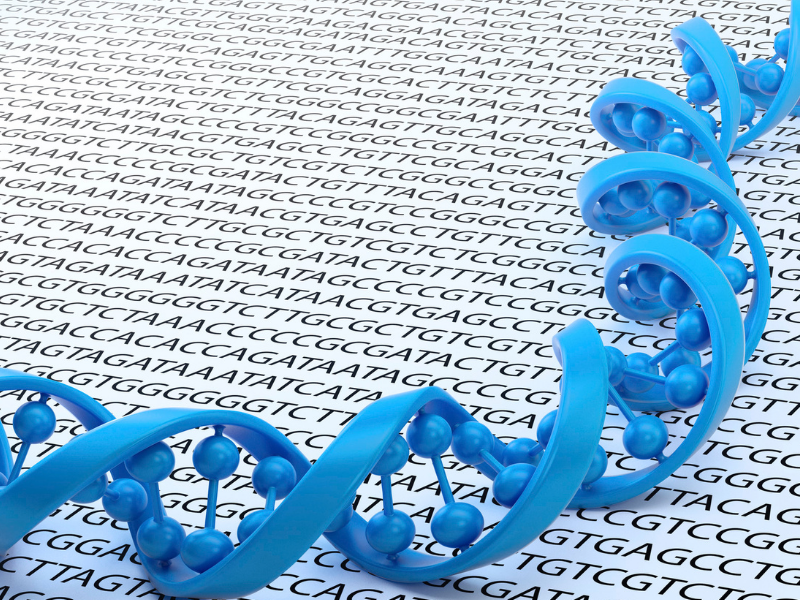 sequenziamento nella ricerca